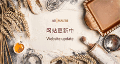 Desktop Screenshot of abmauri.com.cn